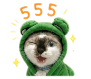 856920330