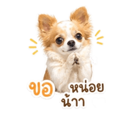 856921696