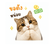 856922276