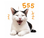 856922398