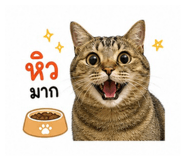 856922410