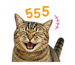 856922412