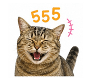 856922412