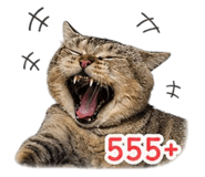 856922929