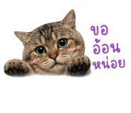 856922944