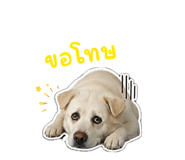 856923024