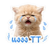 856923045