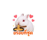 856923102
