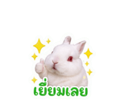 856923103