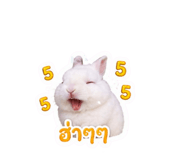 856923104
