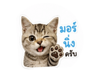 856923120