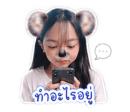 856923241