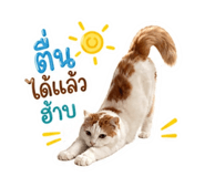 856923326