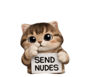 856923487