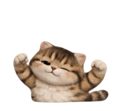 856923489