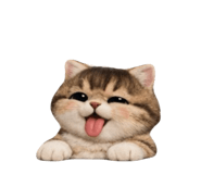 856923495