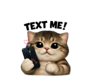 856923504