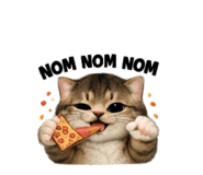 856923509