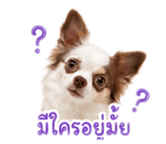 856923636