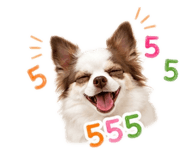 856923637