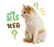 856924687