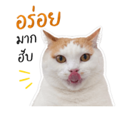 856924892