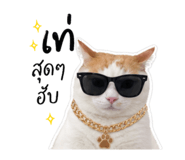 856924898