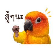 856924935