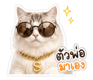 856926236