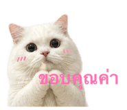 856926969