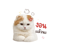 856927110