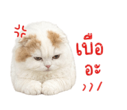 856927119