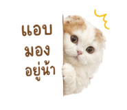 856927120