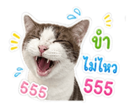 856927186