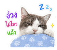856927199