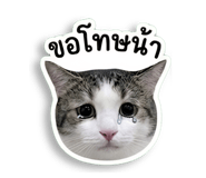 856927523