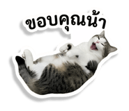 856927538