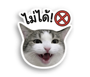 856927549