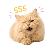 856927722