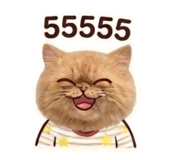 856928251