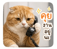 856928522