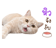 856929298