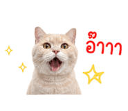 856929310