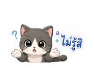 856929639