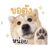 856930261