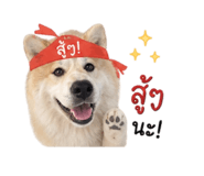 856930263
