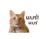 856930310