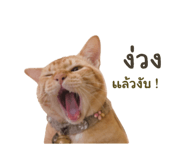 856930319