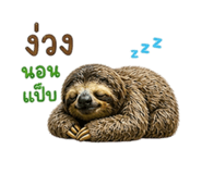 856930330