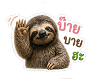856930342